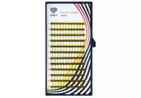 Ресницы Lovely 4D - 12 линий Ресницы Lovely 4D - 12 линий